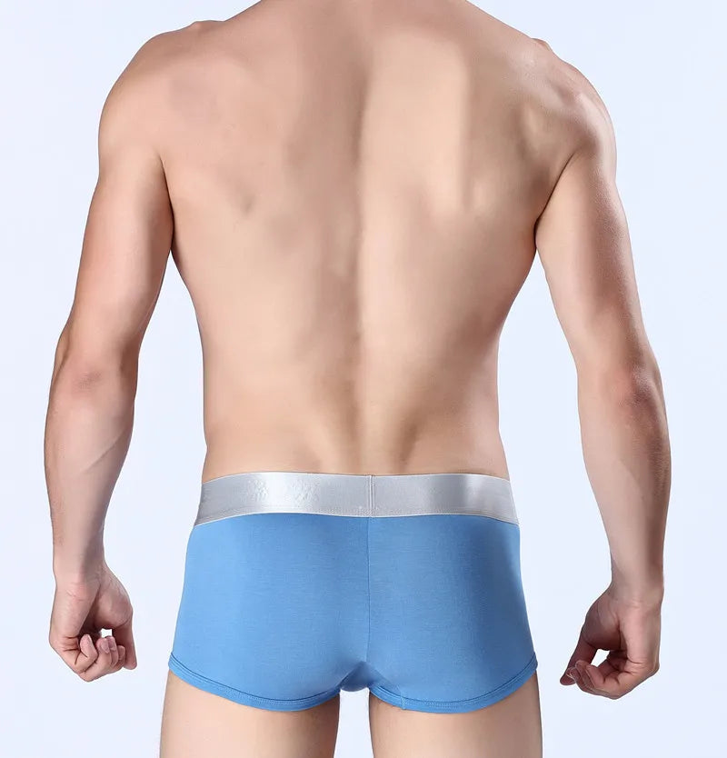 Brand Mens Underwear Boxers Men's Underpants Sexy Cueca Boxer For Mens Cotton Shorts Panties Plus Size Calzoncillos boxeador 4XL
